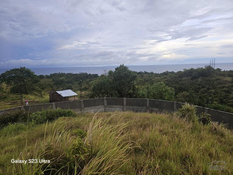 Agricultural Lot for sale in Guindulman in Bohol