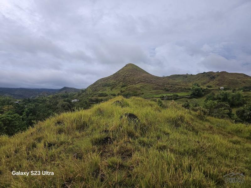 Agricultural Lot for sale in Guindulman in Philippines