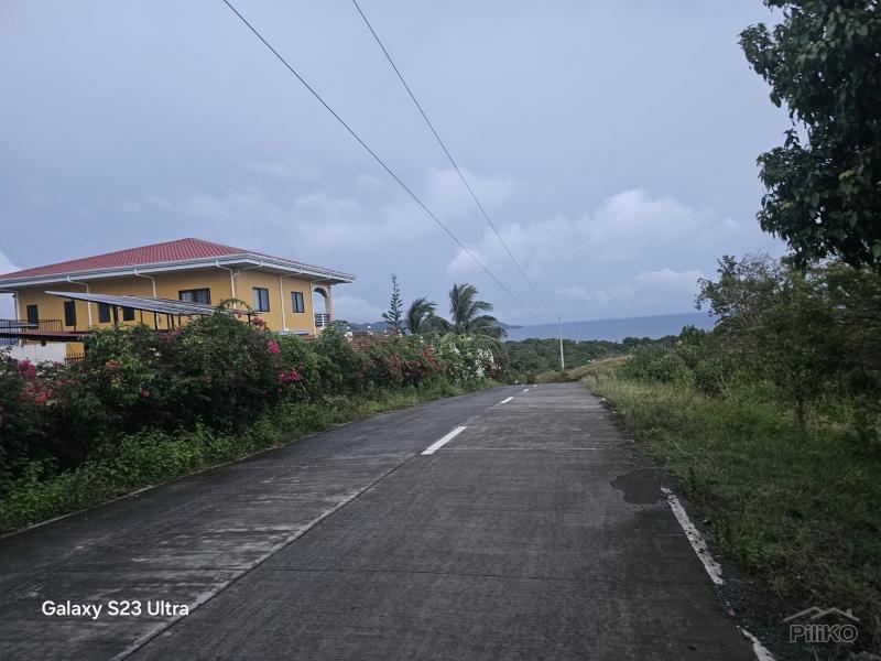 Picture of Agricultural Lot for sale in Guindulman in Bohol
