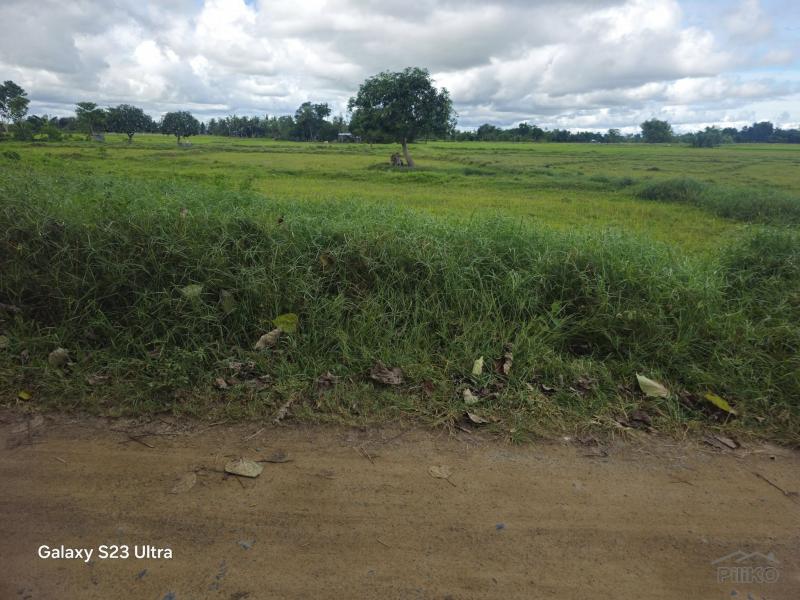 Agricultural Lot for sale in Bien Unido