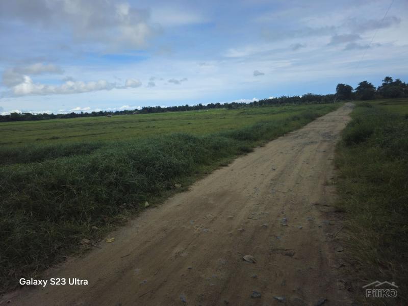 Agricultural Lot for sale in Bien Unido in Philippines