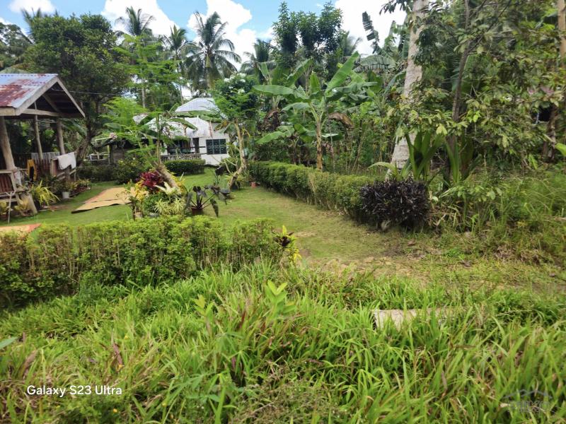 Agricultural Lot for sale in Catigbian - image 16