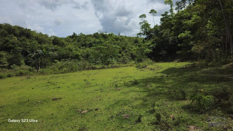 Agricultural Lot for sale in Borbon in Cebu