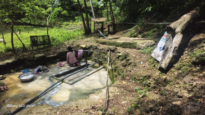 Picture of Agricultural Lot for sale in Borbon in Cebu