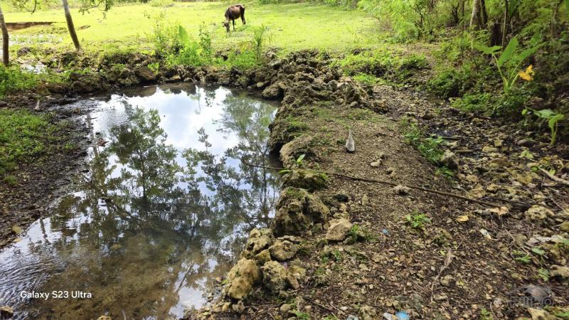 Picture of Agricultural Lot for sale in Borbon in Philippines