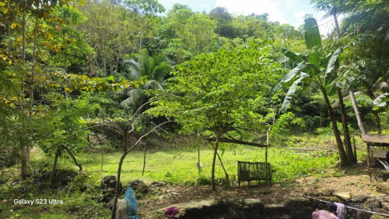 Agricultural Lot for sale in Borbon - image 9