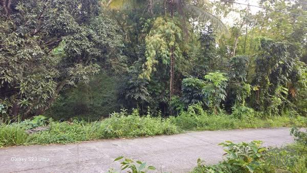 Agricultural Lot for sale in Cebu City - image 2