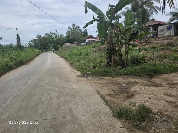 Agricultural Lot for sale in Bogo - image 2