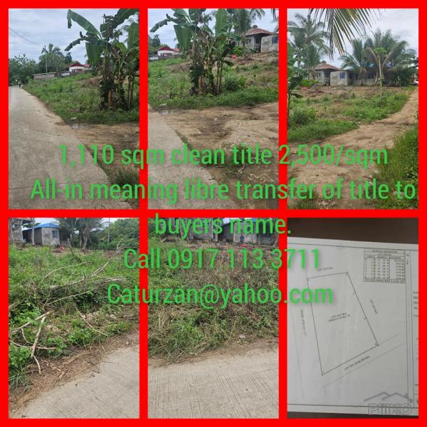 Agricultural Lot for sale in Bogo - image 3