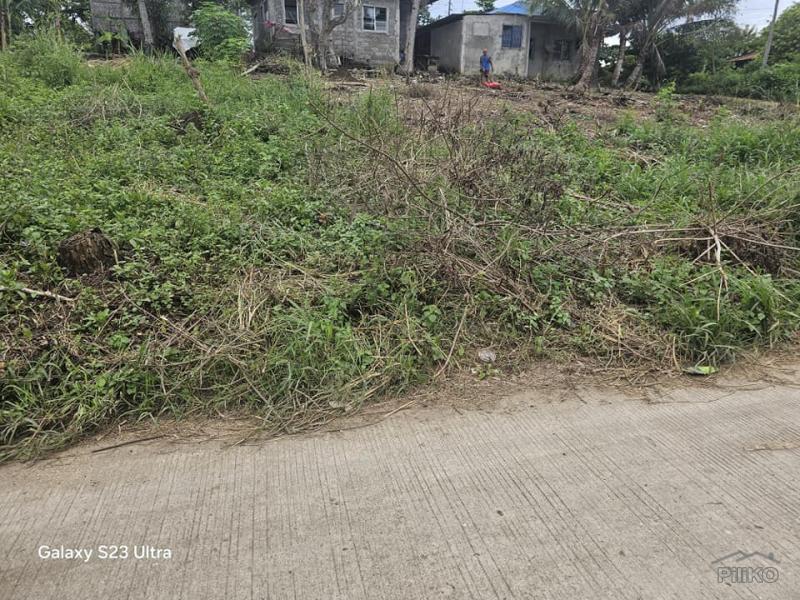 Agricultural Lot for sale in Bogo - image 4