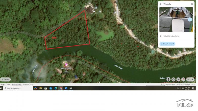 Agricultural Lot for sale in Loboc