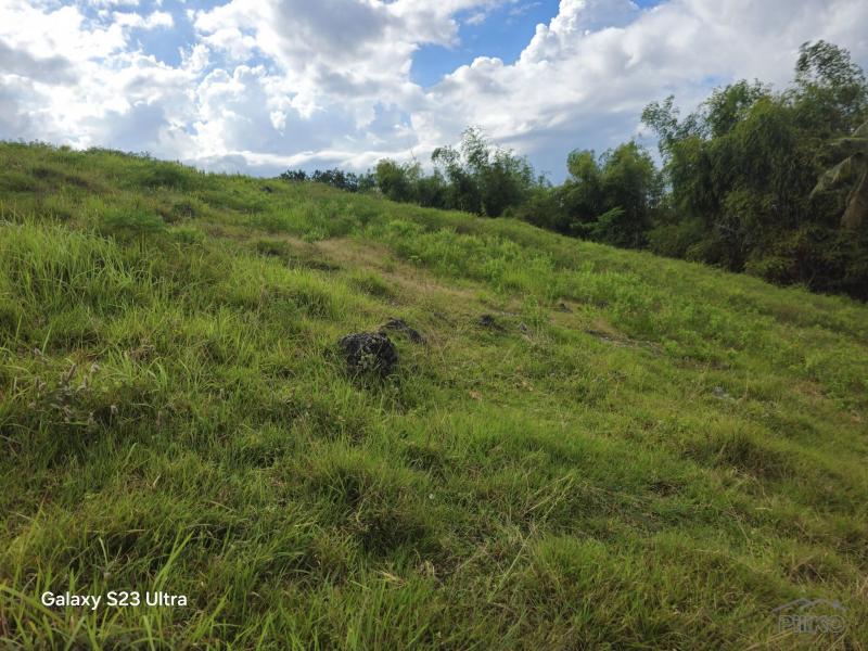 Agricultural Lot for sale in Dumanjug - image 3