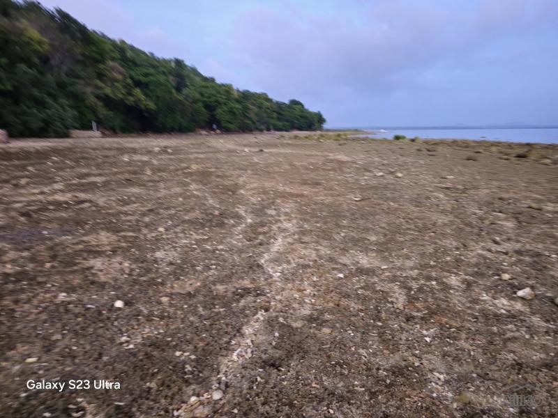 Picture of Agricultural Lot for sale in Maribojoc