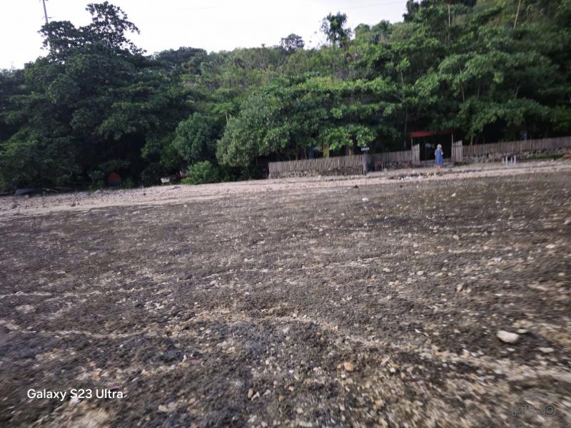 Agricultural Lot for sale in Maribojoc