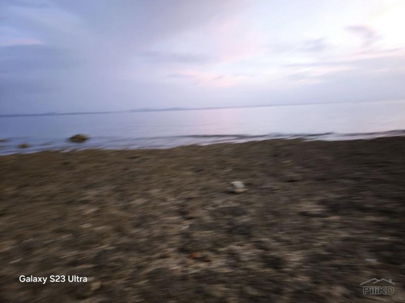 Agricultural Lot for sale in Maribojoc in Philippines
