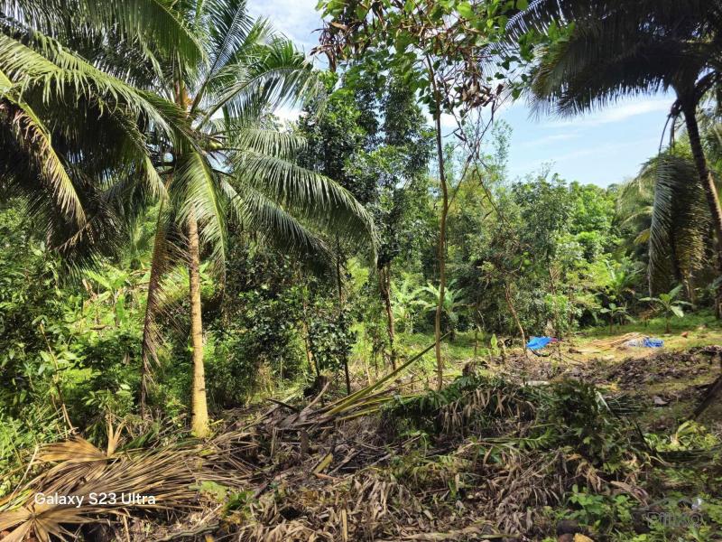 Agricultural Lot for sale in Tubigon