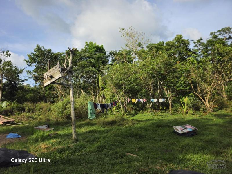 Agricultural Lot for sale in Catigbian in Bohol
