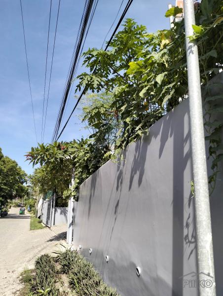 Other commercial for sale in Bogo - image 17