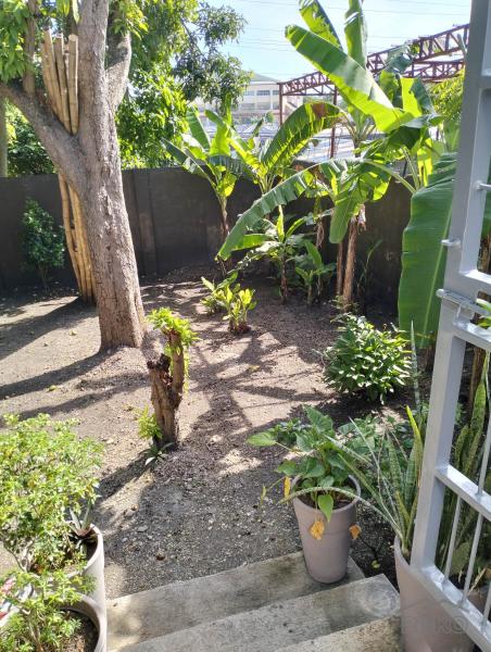 Other commercial for sale in Bogo - image 20