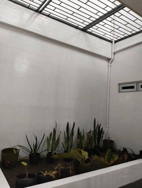 Other commercial for sale in Bogo - image 22