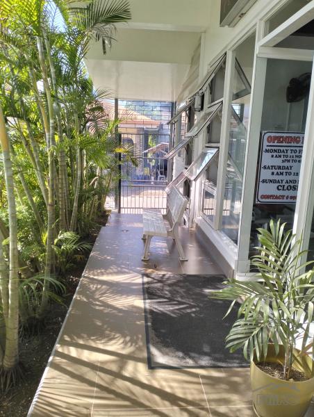 Other commercial for sale in Bogo - image 23