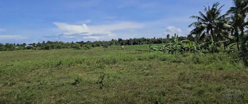 Agricultural Lot for sale in Talibon