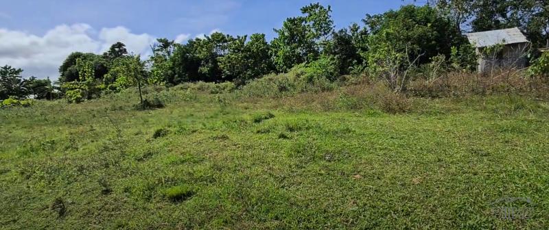 Agricultural Lot for sale in Talibon in Bohol