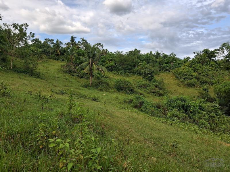 Agricultural Lot for sale in Aloguinsan in Philippines