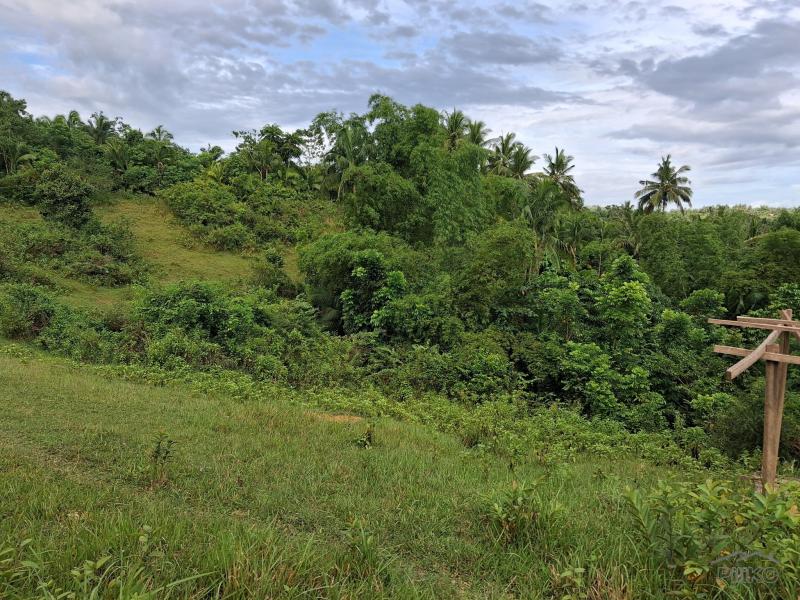 Picture of Agricultural Lot for sale in Aloguinsan in Cebu