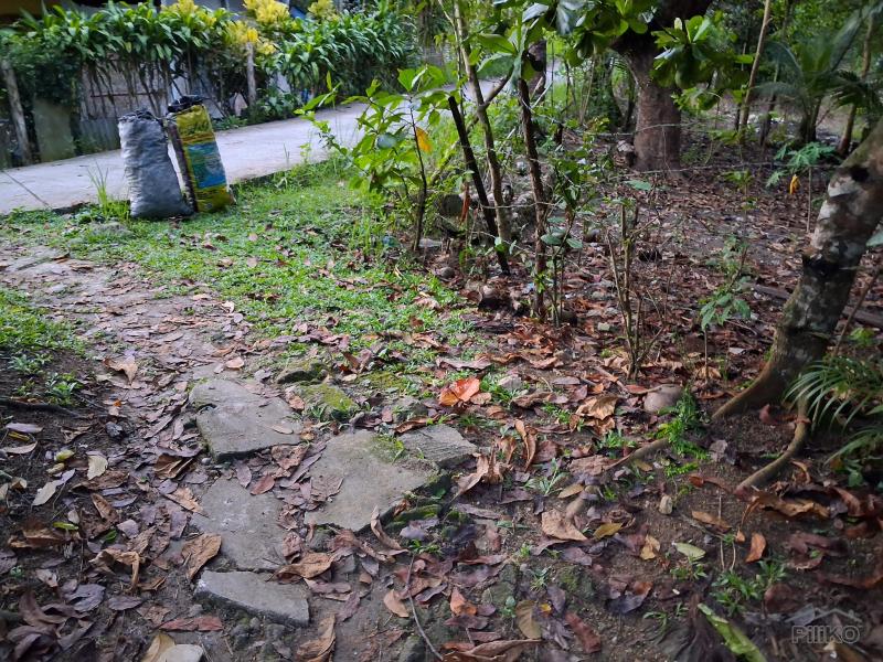 Picture of Agricultural Lot for sale in Aloguinsan