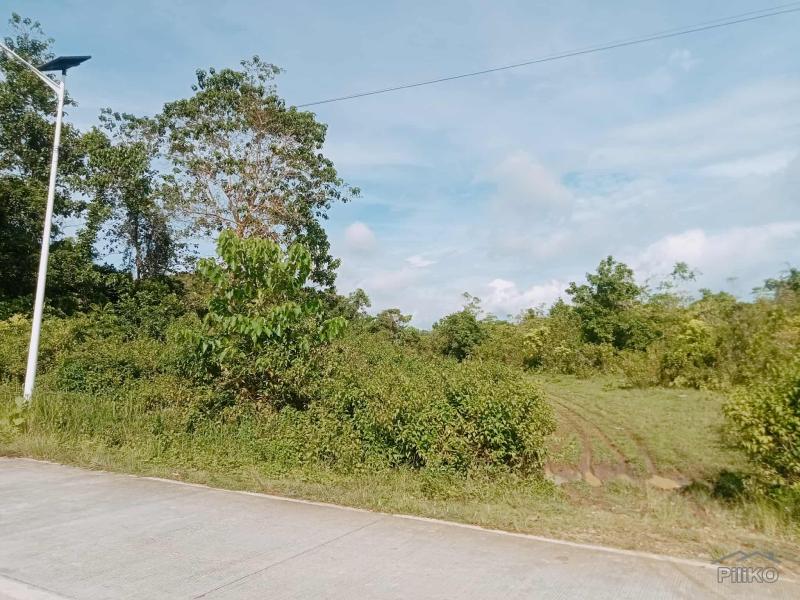 Agricultural Lot for sale in Balilihan