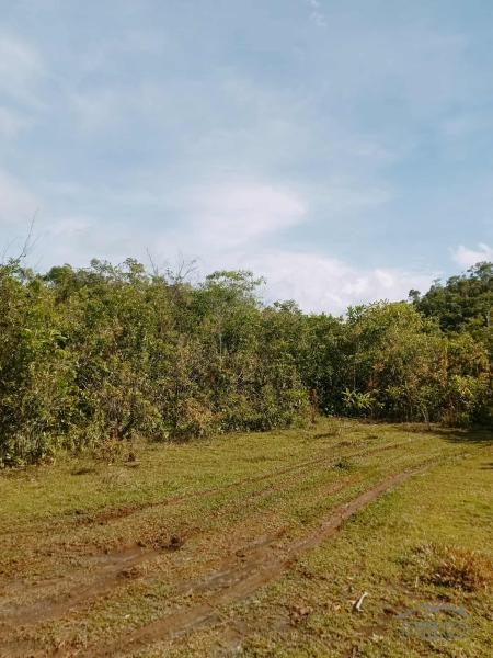 Agricultural Lot for sale in Balilihan in Bohol