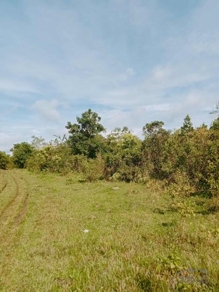 Agricultural Lot for sale in Balilihan in Philippines