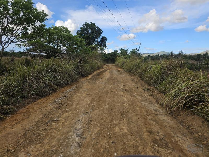 Agricultural Lot for sale in Ubay - image 10