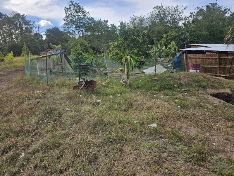 Agricultural Lot for sale in Ubay - image 14