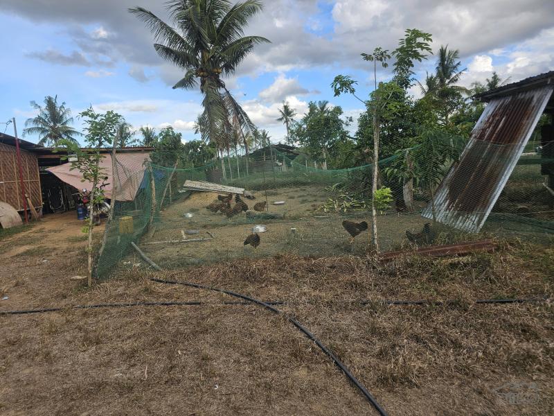 Agricultural Lot for sale in Ubay in Philippines