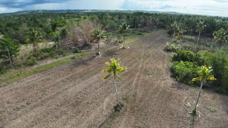 Agricultural Lot for sale in Ubay - image 7
