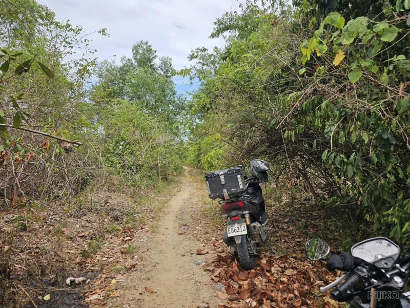 Agricultural Lot for sale in Talibon in Philippines