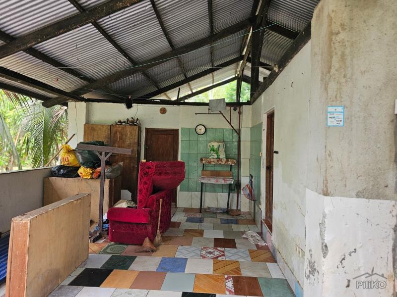 Agricultural Lot for sale in Talibon - image 7