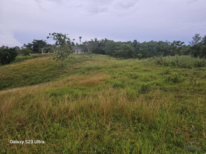 Agricultural Lot for sale in Trinidad - image 4