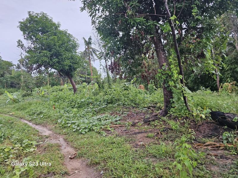 Agricultural Lot for sale in Trinidad - image 9