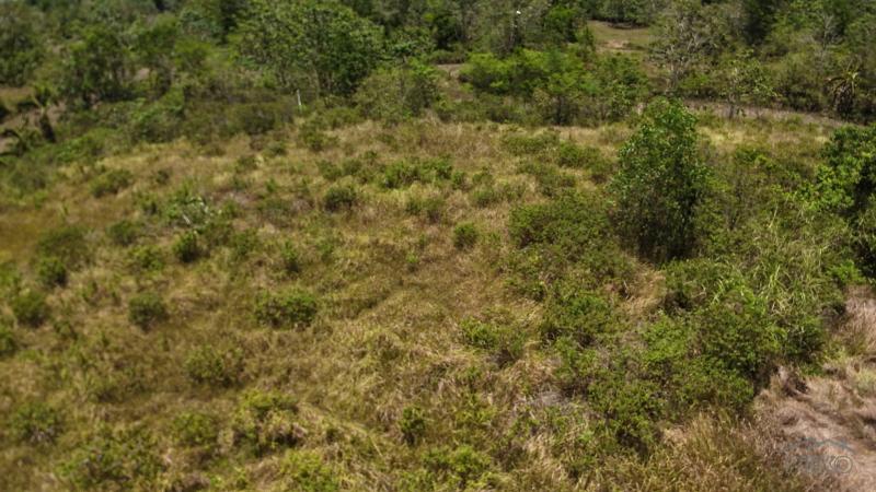 Agricultural Lot for sale in Trinidad