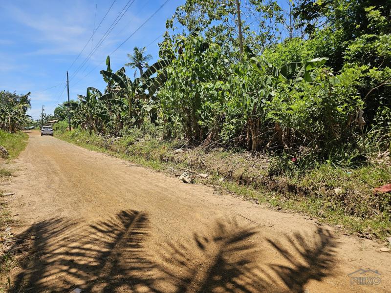 Agricultural Lot for sale in Trinidad in Bohol