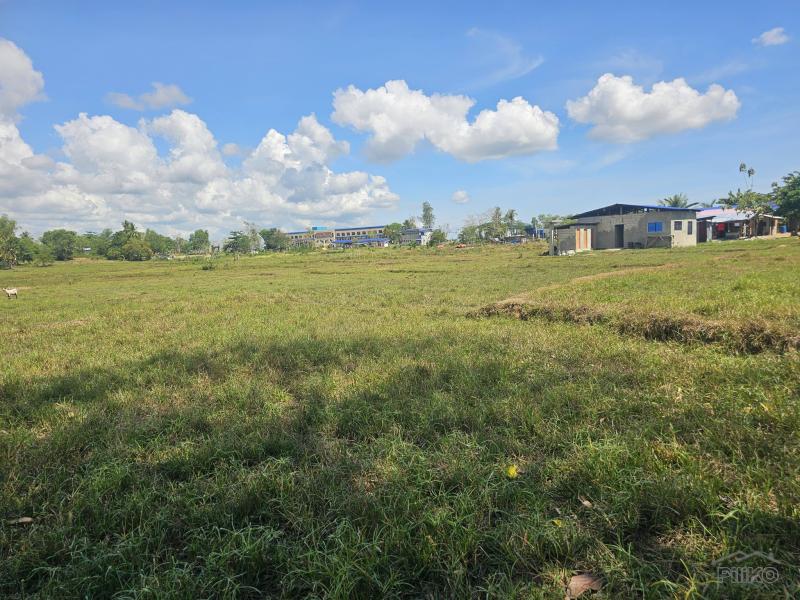 Agricultural Lot for sale in Trinidad