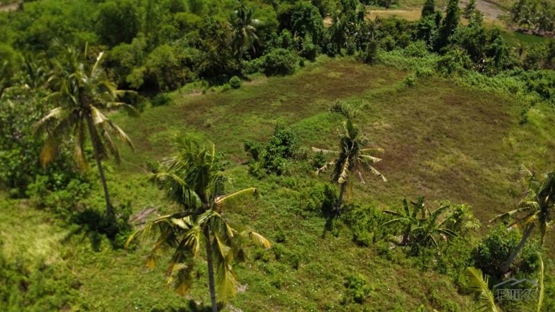 Picture of Agricultural Lot for sale in Trinidad