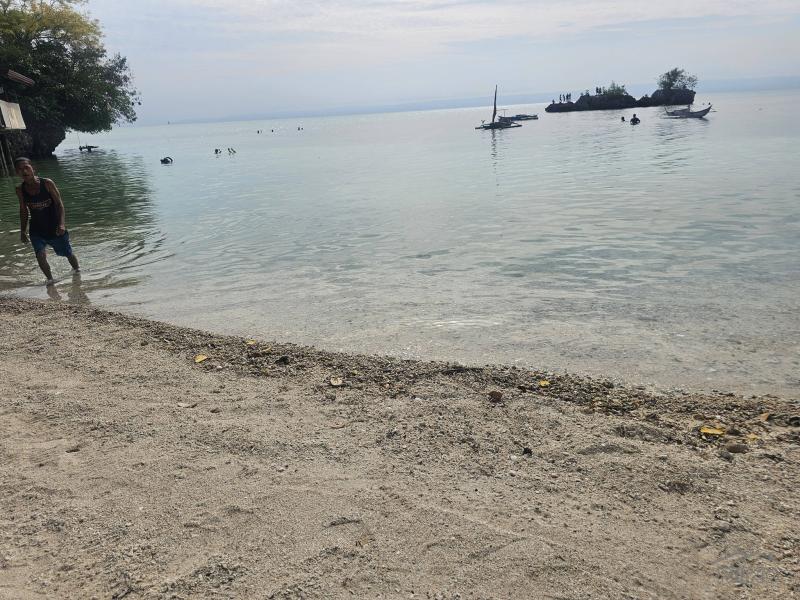 Picture of Residential Lot for sale in Tagbilaran City