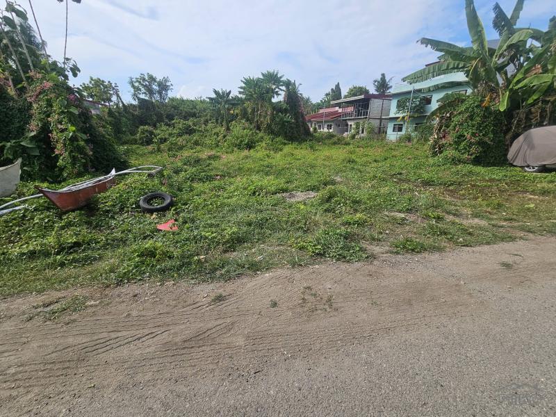 Residential Lot for sale in Tagbilaran City