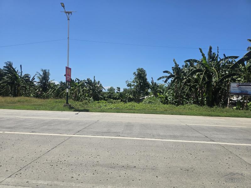 Picture of Residential Lot for sale in Tubigon