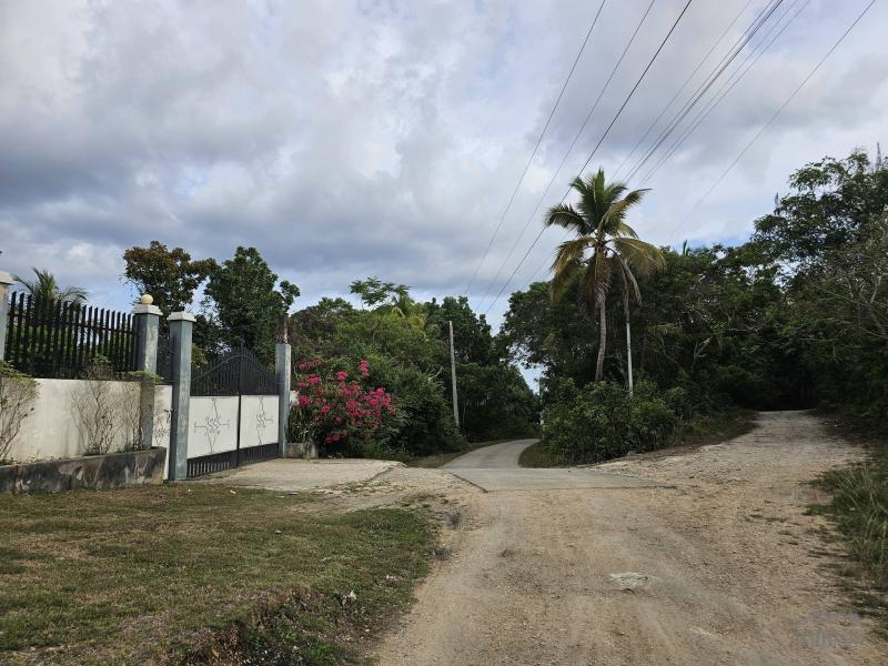 Picture of Agricultural Lot for sale in Alburquerque