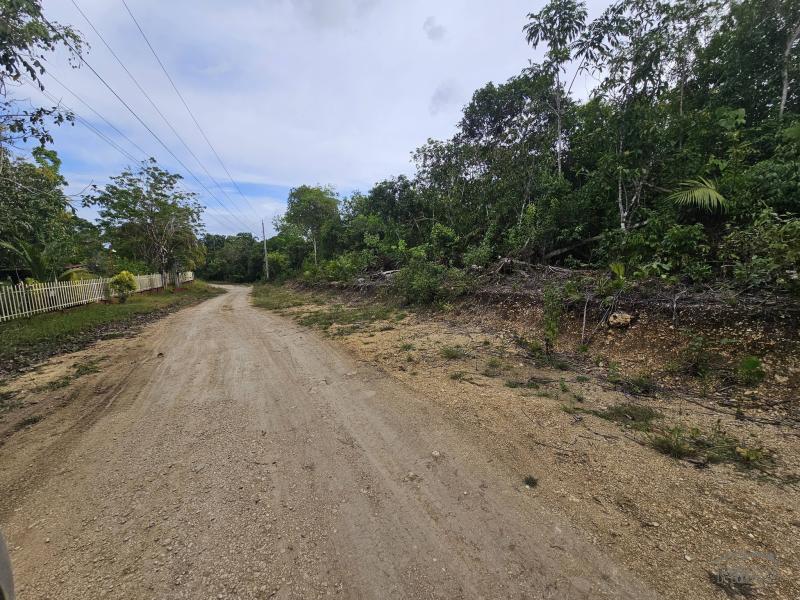 Agricultural Lot for sale in Alburquerque